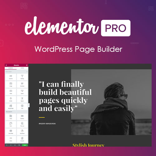 Elementor PRO GPL WordPress Page Builder Version: 3.7.7